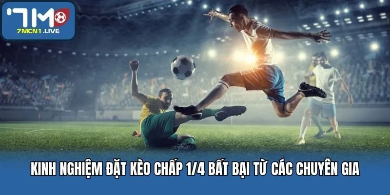 Kinh nghiệm đặt kèo chấp 1/4 bất bại từ các cao thủ